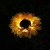 Sunflower Garden Solar Light Decoration for Outdoor Backyard Patio Porch 26 Inches