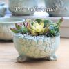 Ceramics Succulent Planter Pot with Drainage Cactus Herb Bonsai Plant Pot Container