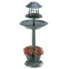 Outdoor Decor Backyard Garden Lawn Solar Garden Light