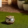 Outdoor Decor Backyard Garden Lawn Solar Garden Light